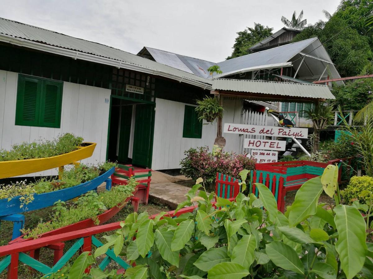 Hotel Lomas Del Paiyue Puerto Narino Bagian luar foto