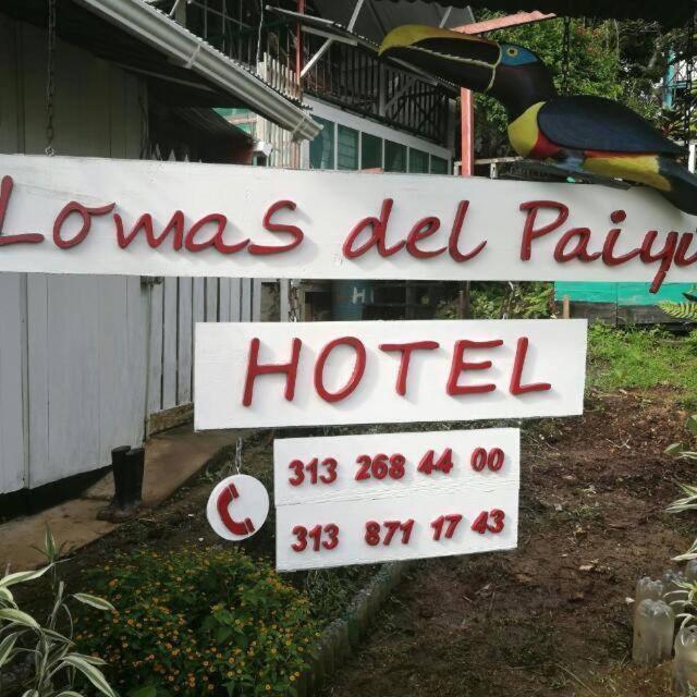 Hotel Lomas Del Paiyue Puerto Narino Bagian luar foto
